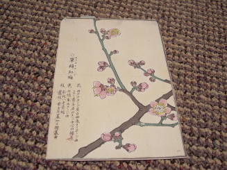 One Thousand Varieties or Flowers (Senshuno Hana) Series: Chinese Plum