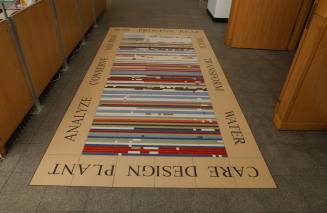 Arabidopsis Genomic Rug