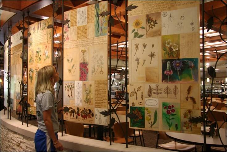 A Celebration of the Iowa Prairie