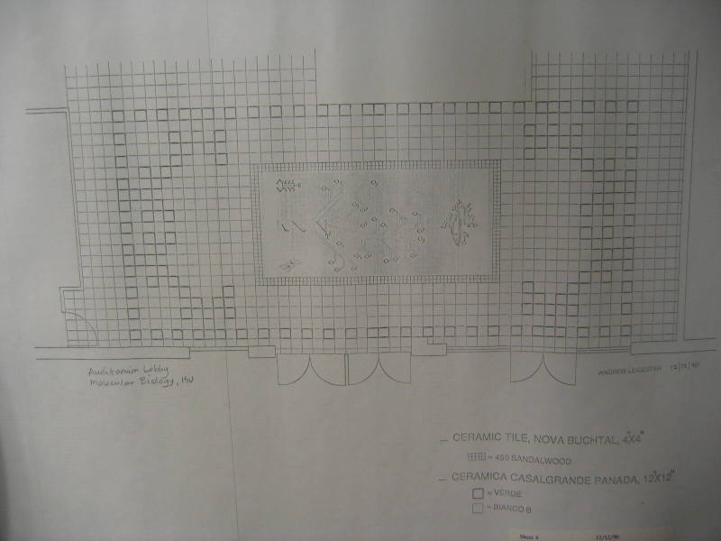 Copy of Molecular Biology's Auditorium Mosaic