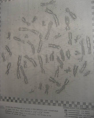 Revision to Sheet 3: Moli Bio's Atrium South Mosaic