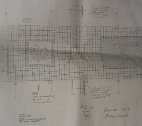 Revision and Copy of Sheet 1: Moli Bio's Atrium Mosaic