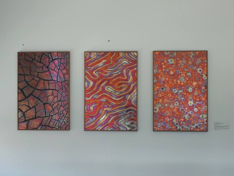 Reaction Diffusion Triptych