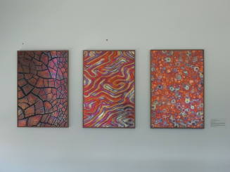 Reaction Diffusion Triptych