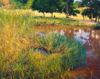 Marsh Grass and Red Pond