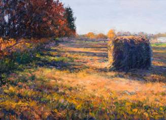 Study: January 6, 2008