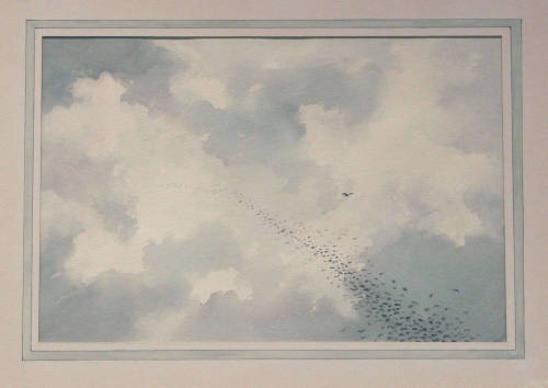 Hawk and Flock of Starlings