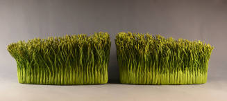 Iowa Artists Collection