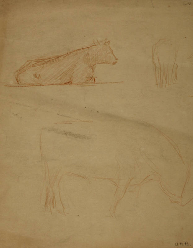 Study for the History of Dairying: Cow