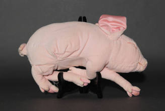 Sleeping Yorkshire Baby Pig