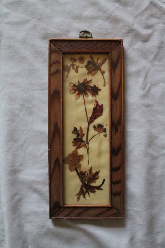 Dried Flower Collage