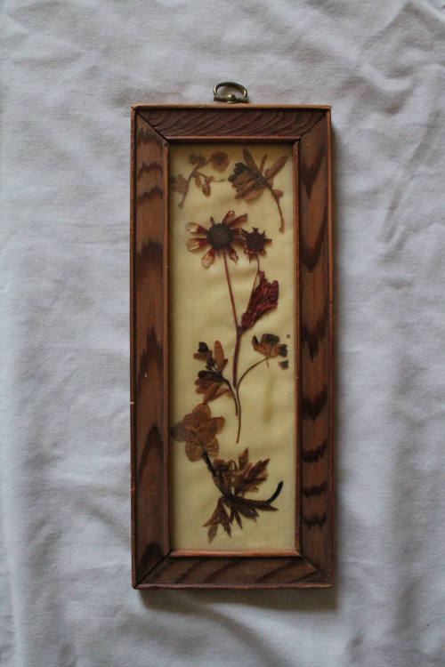 Dried Flower Collage