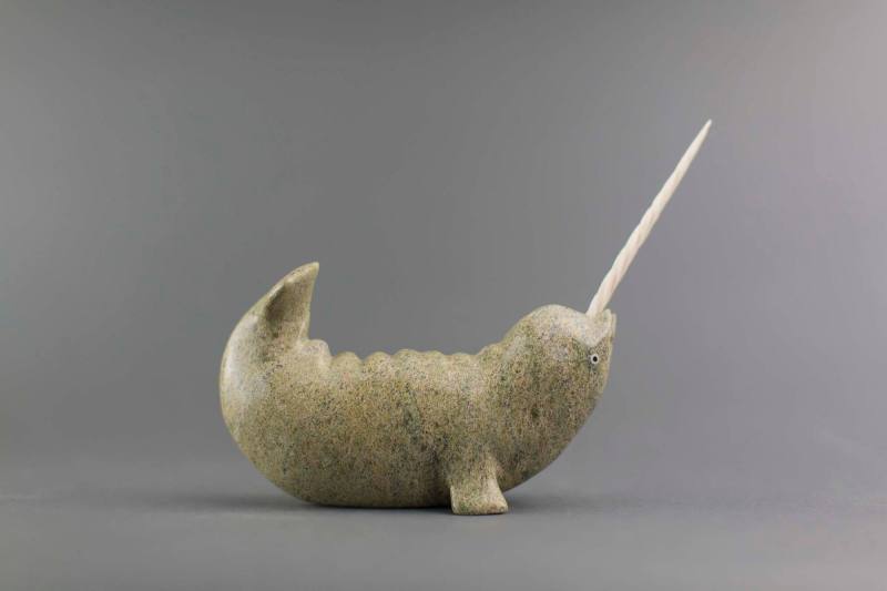 Narwhal