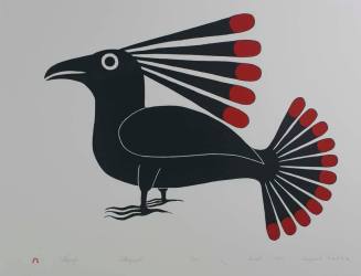 Tulugauja (Like a Raven)