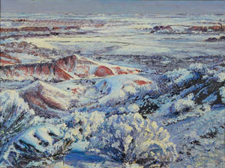 Snow in Painted Desert