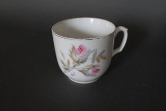 Moss Rose (Sans Souci)