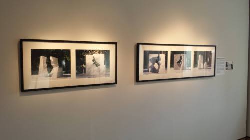 Photographic models for The Moth