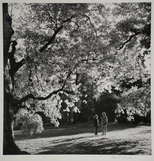 Central Campus in Fall