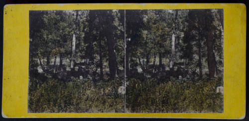 Camping on the Merced River