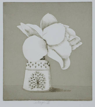 Sherwood's Rose, black and white print, Stage III