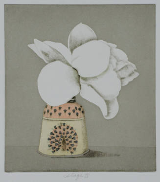 Sherwood's Rose, color print, Stage IV