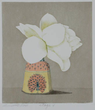 Sherwood's Rose, color print, Stage V