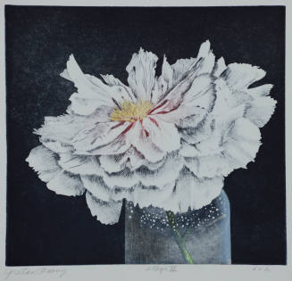 Gretta's Peony, Stage II