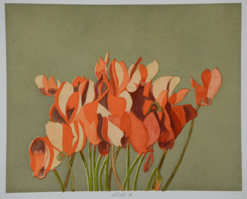 Cyclamen
