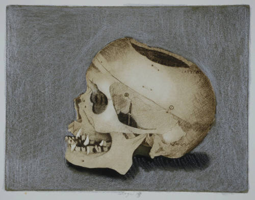 Dr. R's Skull