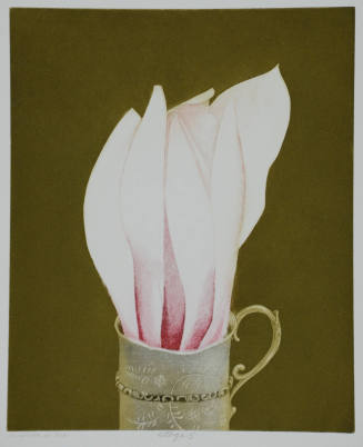 Magnolia in Cup