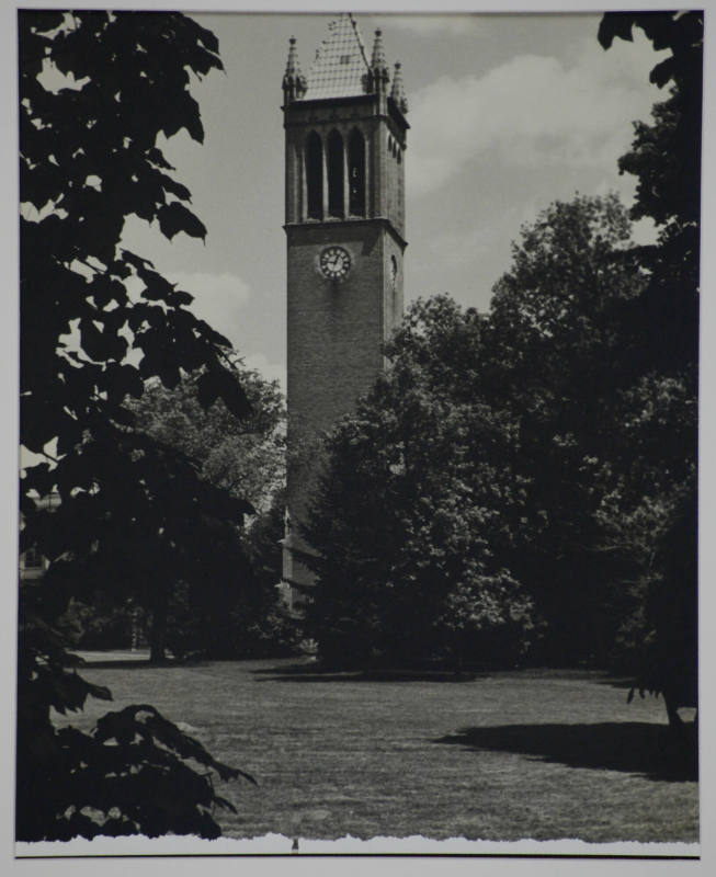 Top of Campanile