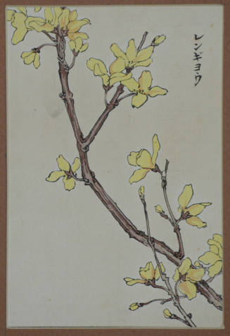 One Hundred Varieties of Flower (Kusa Bana Hyakushu) Series: Rengyou