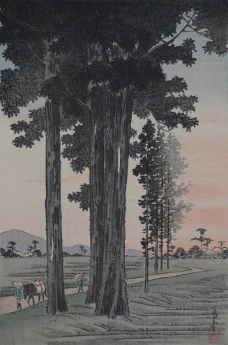 Road and Cedar Trees