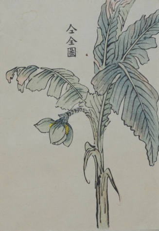 One Hundred Varieties of Flowers Series (Kusa Bana Hyakushu): Bashou or Japanese Banana Tree