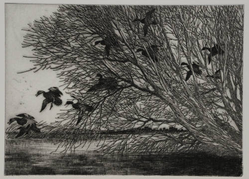 Untitled (ten mallards landing)