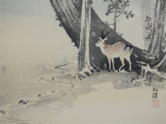 A Deer by a Forest Stream