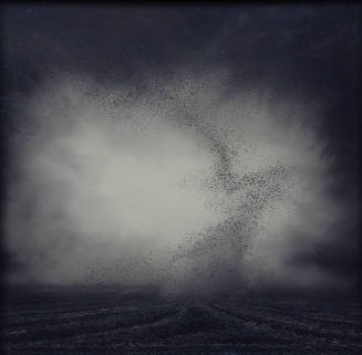 Locust, (The Year the Locust Were So Bad)