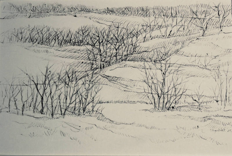 Winter Hills, Study