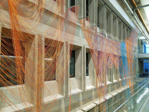 96 Variations on a Phylogenetic Tree