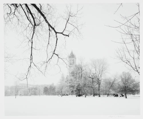 Campanile - Winter