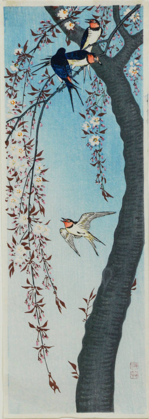 Swallows and Cherry Blossoms