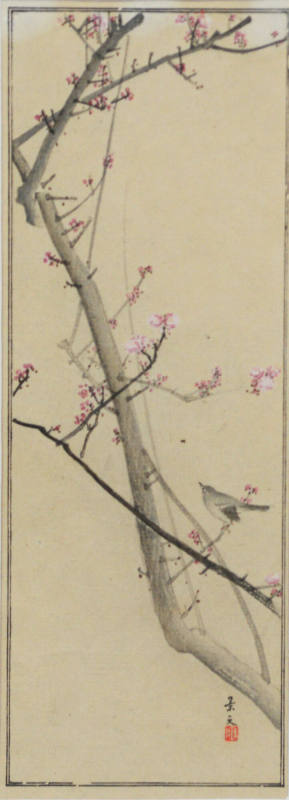 Bird and Cherry Blossoms