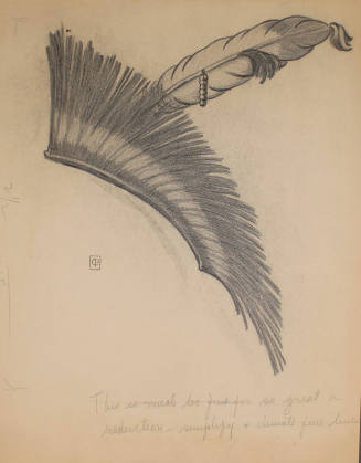 Cha-Ki-Shi: Meskwaki Headdress