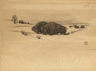 Cha-Ki-Shi: Buffalo in the Snow