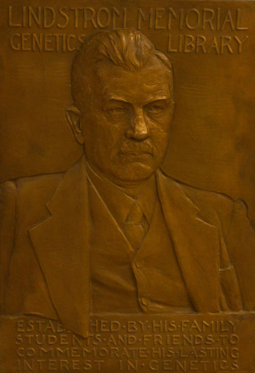 Ernest N. Lindstrom