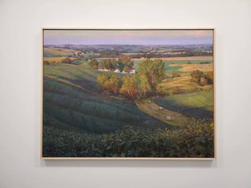 Study for Rhythms - Bean Fields at Sunset