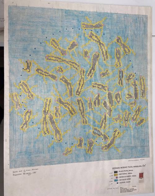 Colored plans of South Atrium Mosaic of Moli Bio