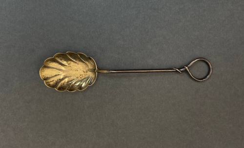 Spoon / Sugar Shell Spoon