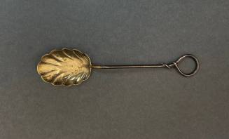 Spoon / Sugar Shell Spoon