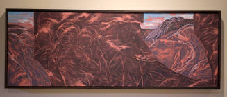 Model for Walking the Landscape 1